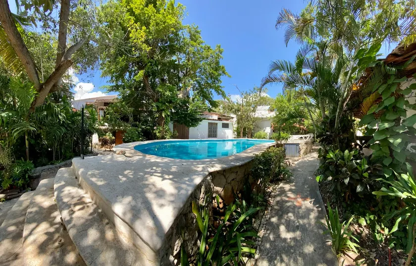 The Tropical Jungle Oasis in Cancun - Image 1