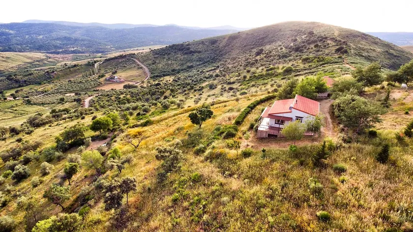 House in the middle of nature 1 - Image 1