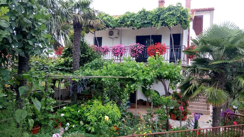 Krk apartment - Image 1