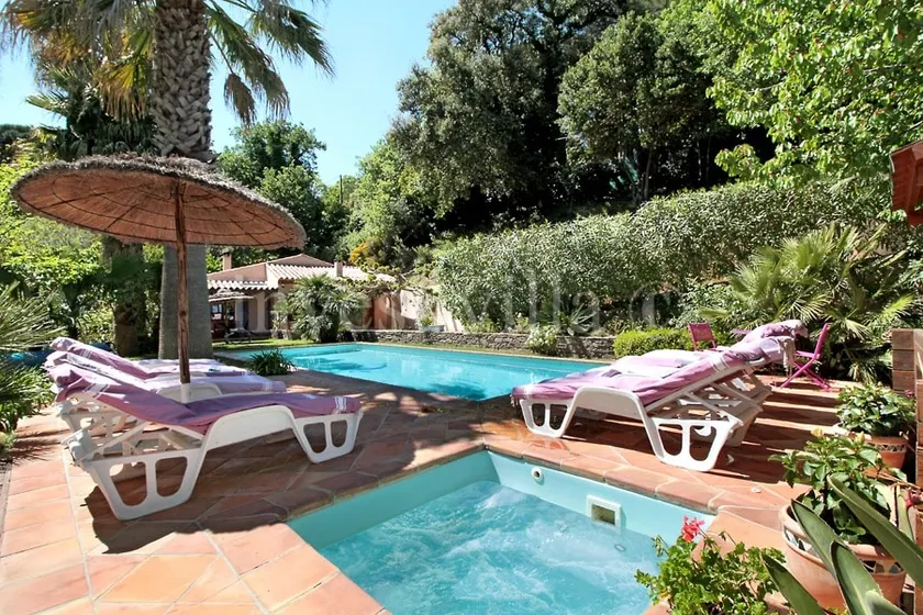 Villa in the Heart of the Chestnut Groves - Image 1
