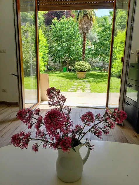 The window overlooking the courtyard - Image 1