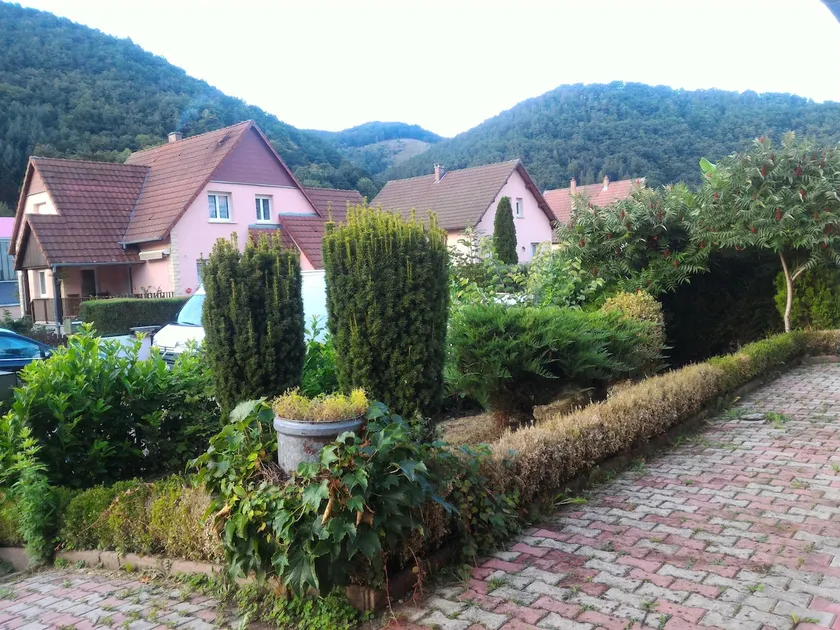 Alsass Online - Image 1