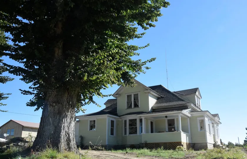 Simonds Guesthouse E., Refreshing Country Retreat - Image 1