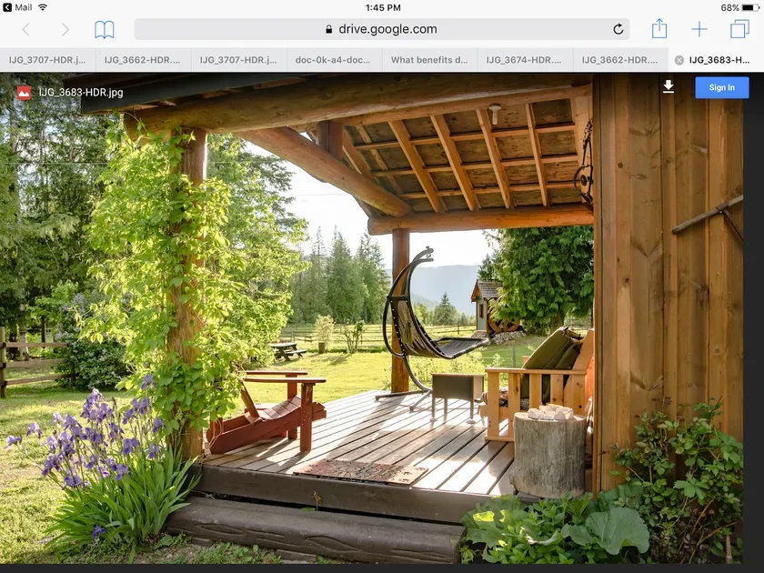 Airbnb Cabin North Shuswap Celista - Image 1