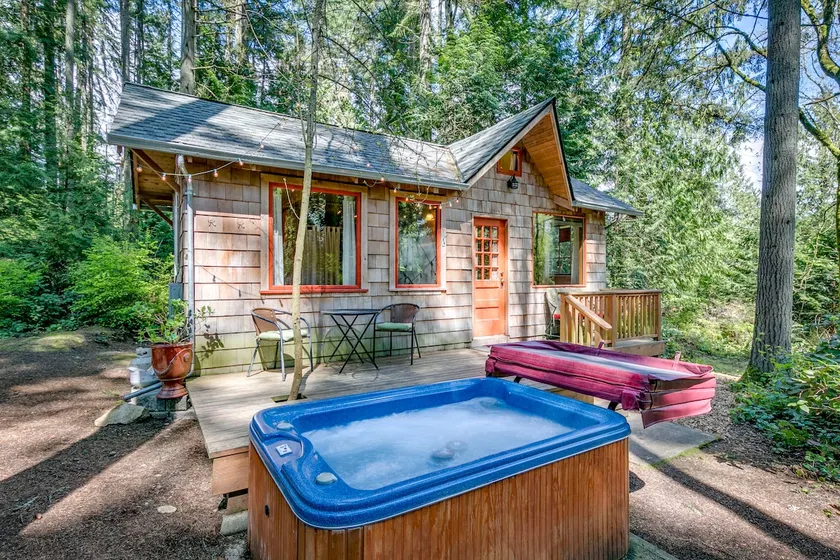 Cabine privée dans les bois (fièvre de la cabine) - Image 1