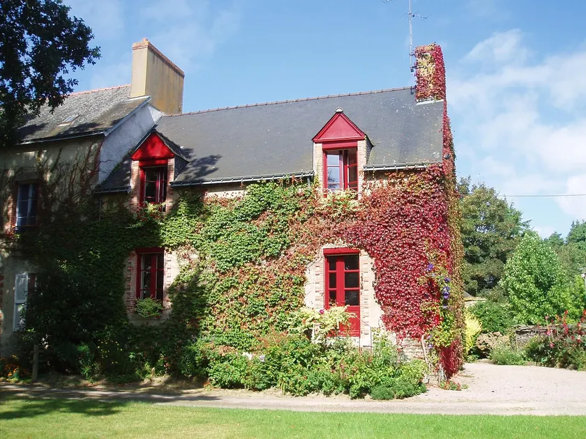 In the countryside - Image 1