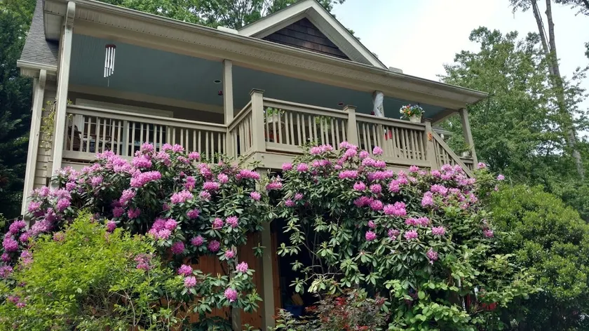 2BR suite near Biltmore, Downtown & Mission Hosp. - Image 1