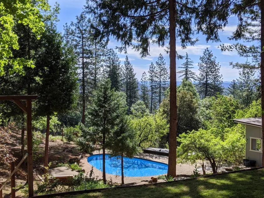 Peaceful Forest Retreat w/ Pool, Game Room, EV Charger. Pet friendly! - Image 1