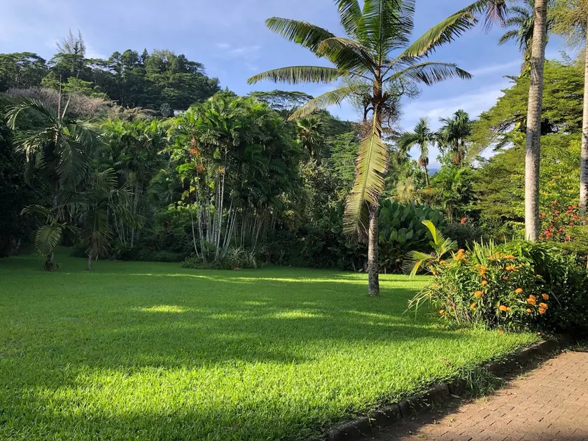 Fare Temanava - Your Vacation Home in Tahiti - Image 1