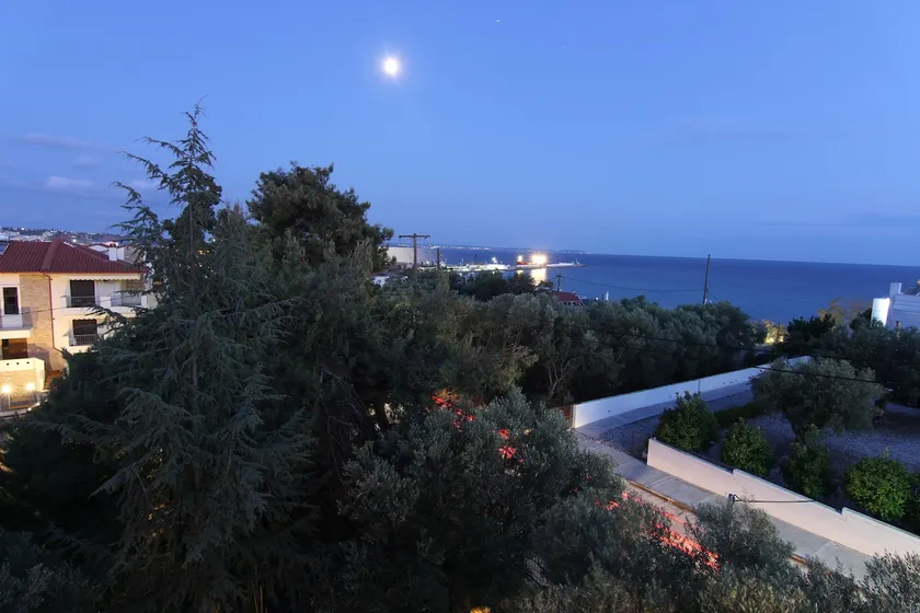 Olive Tree Garden 1 - Image 1