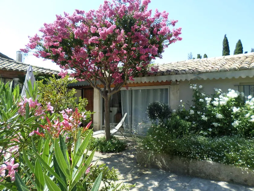 Les grands pins - Image 1