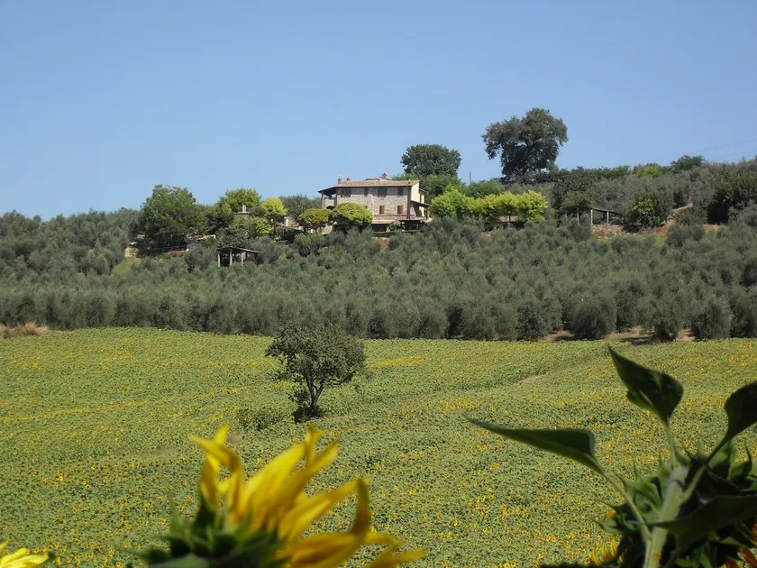 APARTMENT IN FARM UMBRIA NAME RAJO - Image 1