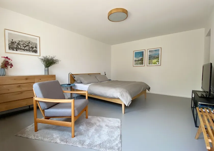 Modern apartment with nice cabin and garden - Image 1