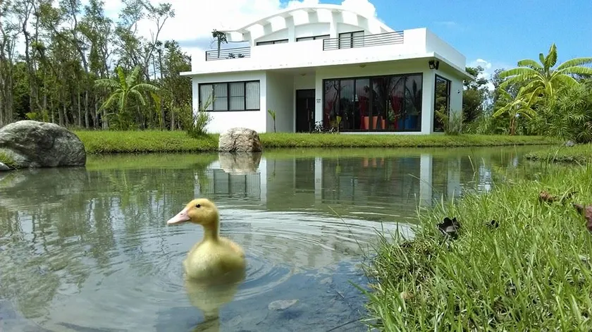 Hualien B&B < Shoufeng B&B < Fengping Langyang B&B / Detached / Vacation ~ 8 people exclusive private space undisturbed - Image 1