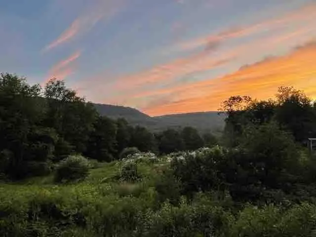South Skaneateles secluded studio on 45 acres - Image 1