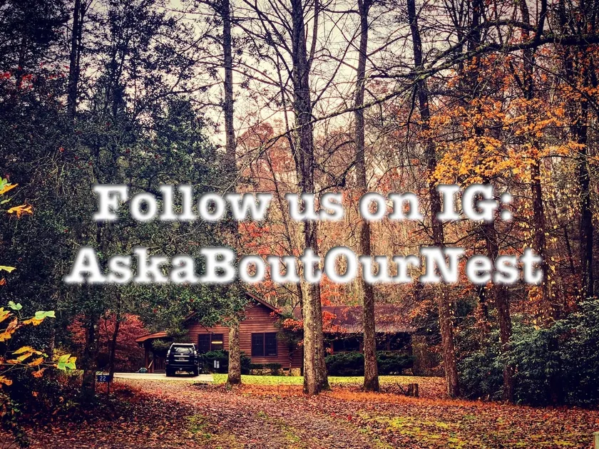 Aska Bout Our Nest on the Aska Adventure Area - Image 1
