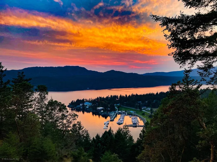Nautical Cabin with Best view on Orcas Island - Image 1