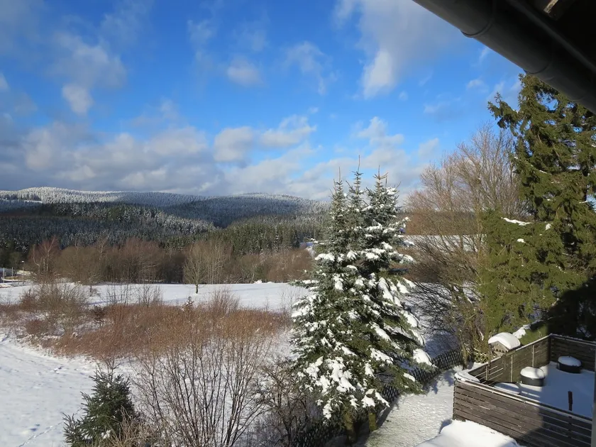 Vacation home overlooking the Harz Mountains - Image 1