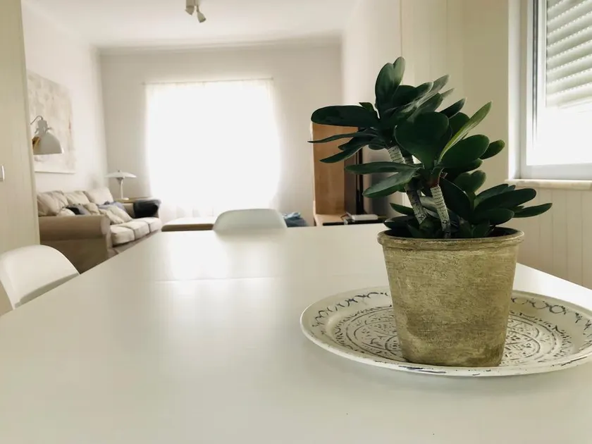 Spacious 3 bedroom apartment 20 min to Lisbon - Image 1