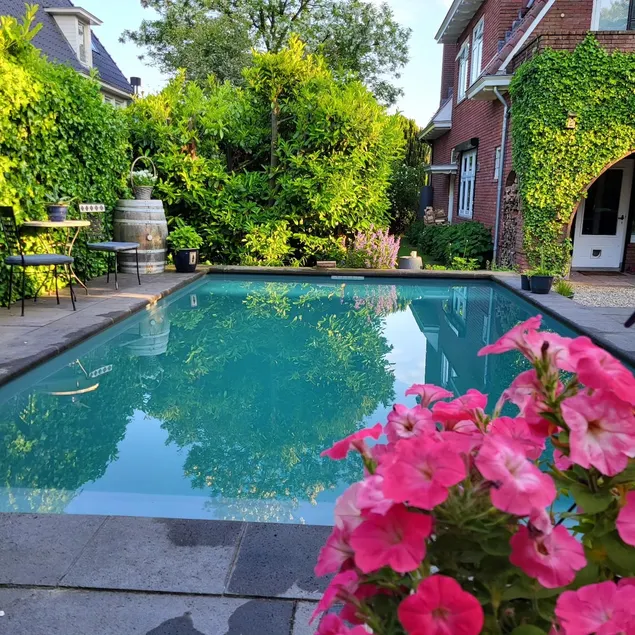 Lovely swimming pool - near Veluwezoom and Arnhem - Image 1