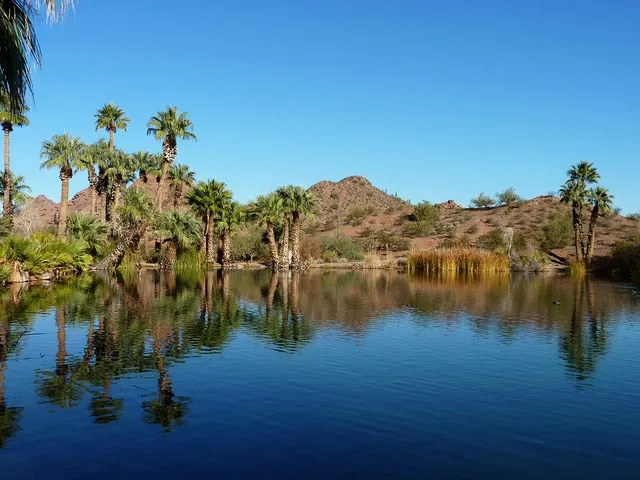 Park Setting with Pool! Old Town Scottsdale, ASU, PHX, Papago Park, Zoo, DBG - Image 1