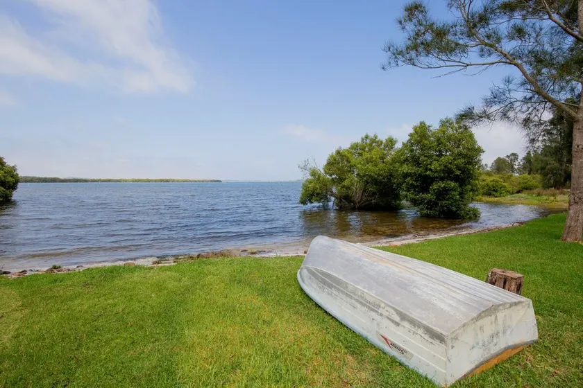 Melaleuca - Haustierfreundlich - Image 1