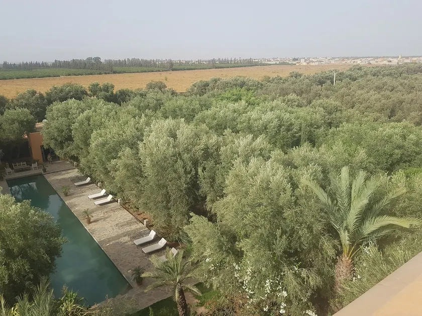 Exceptional Berber farm - Image 1