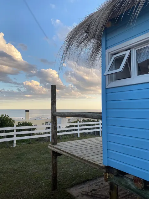 Papaya Point (Blue Papaya) - Image 1