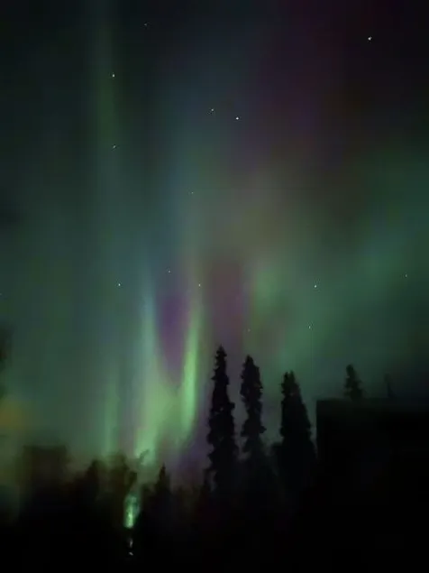 **LOG CABIN ON THE RIVER! Alaskan*Aurora ADVENTURE - Image 1