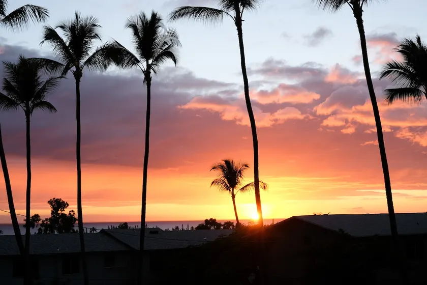 Comfy, Clean & stylish condo w/ ocean&sunset views - Image 1