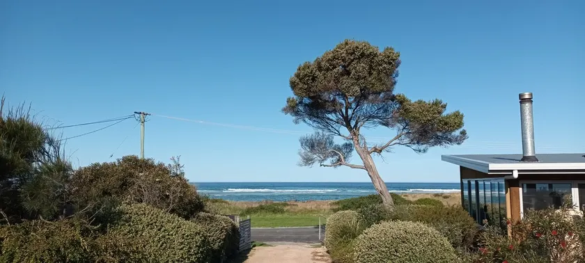 The Dunes - King Studio - 50m from Scamander Beach - Image 1