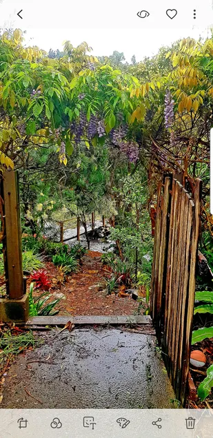 Kiama, Where Native gardens meet the ocean - Image 1
