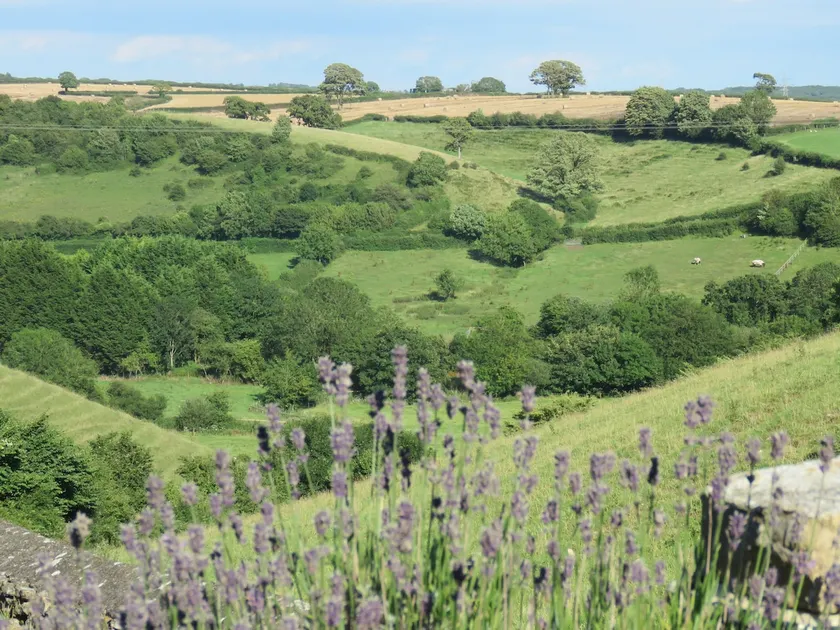 The Old Stable, Llancarfan - Image 1