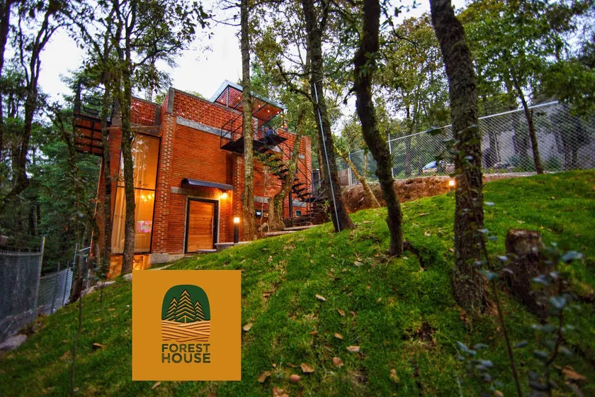 Forest House Cabin 1 Boutique Mineral del Monte - Image 1