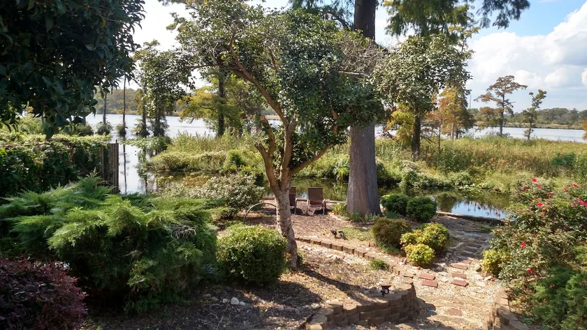Llewellyn Cottage, a private waterfront residence - Image 1