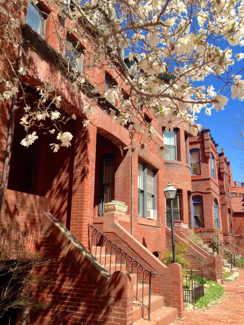 Dupont 1BR. Spacious & Stylish. - Image 1