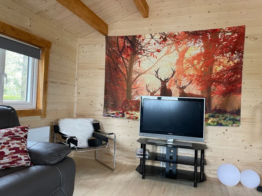 Log Cabin with Hot Tub Large Patio Near Cork city - Image 1