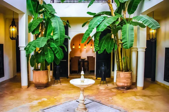 Entire Riad in the Medina: Charm and Tradition - Image 1