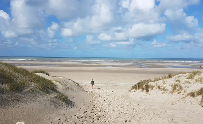La Cabane des Dunes: light, comfort and beach 3☆ - Image 1