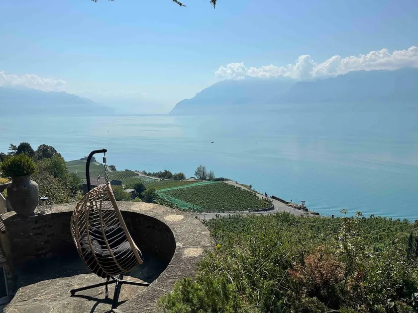 Panoramic APT in the Vineyard with stunning 360 ° view of Lake Geneva and Alps - Image 1