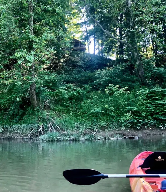 CREEKSIDE CABIN + view, forest, fishing & peaceful - Image 1