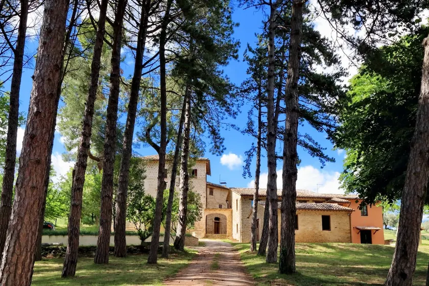 Borgo ai Pini - Villa ai Pini - Image 1