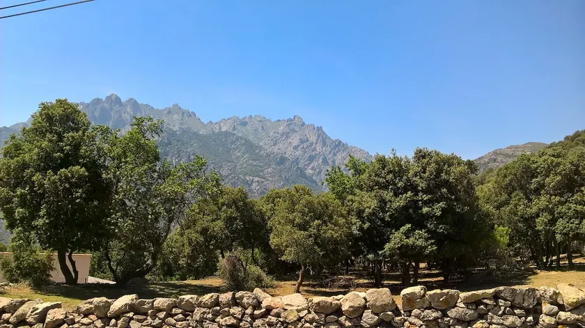 Peaceful stay in Moltifao, between the sea and the mountains - Image 1