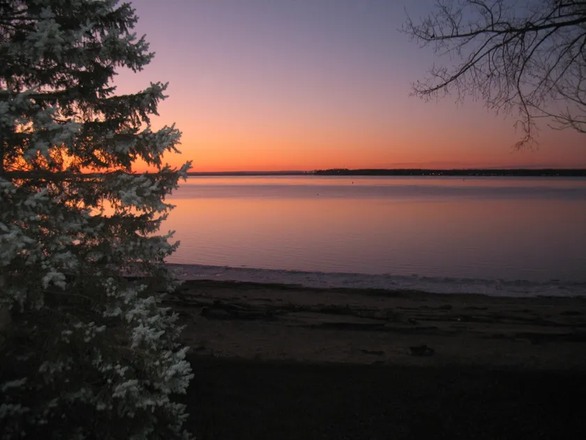 Savor the river and the nature (like in a chalet) - Image 1