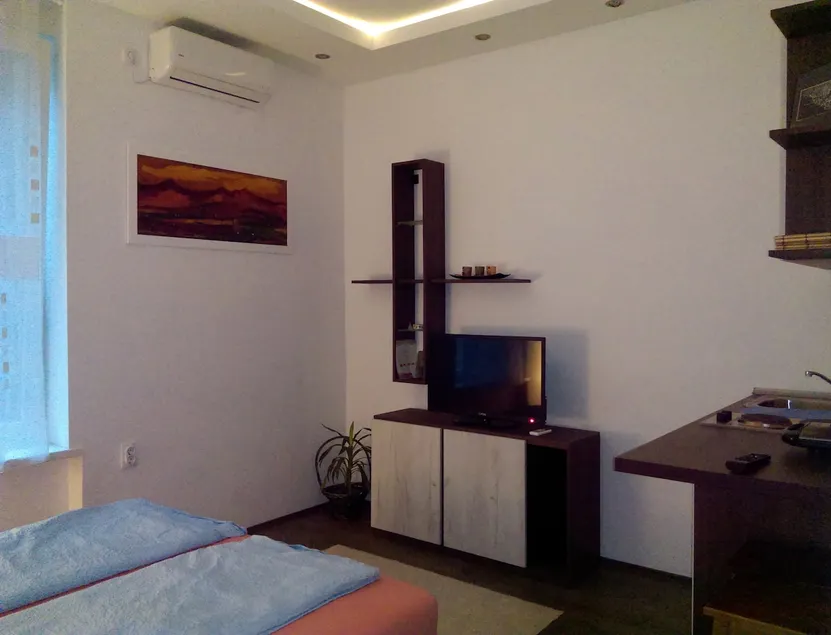 Cozy apartment in the city center - Image 1