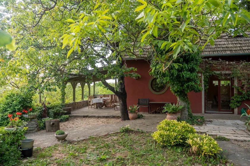 Flower Valley Sanctuary, cozy lodge in wilderness - Image 1
