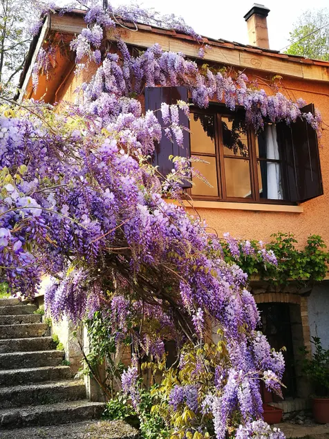 Cottage and nature - Image 1