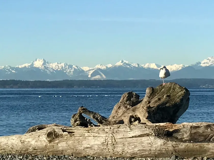 Tranquil Seattle Retreat - Image 1