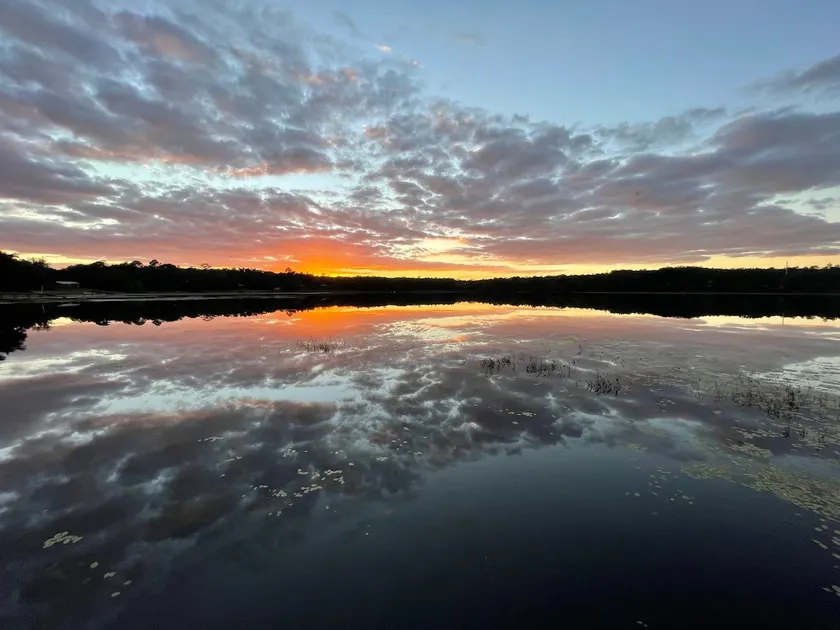 Live Oak Oasis on Morris Lake - Image 1