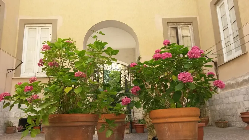 San Giorgio Apartment - Image 1